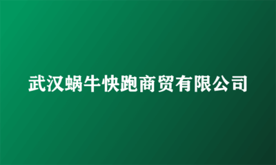 武汉蜗牛快跑商贸有限公司 通讯设备修理服务的专业实践与市场机遇